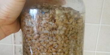 гречневая каша без варки с ягодным соусом