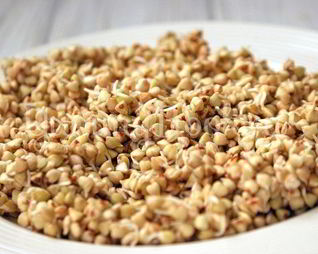 Пророщенная гречка