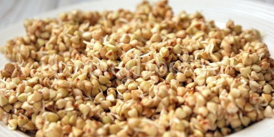 Рецепт пророщенной гречки