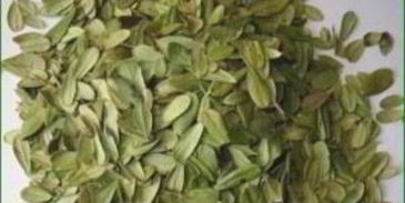 брусничный чай