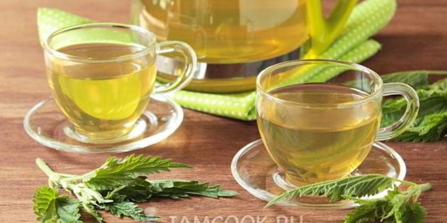 Рецепт чая из крапивы