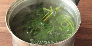 чай из крапивы