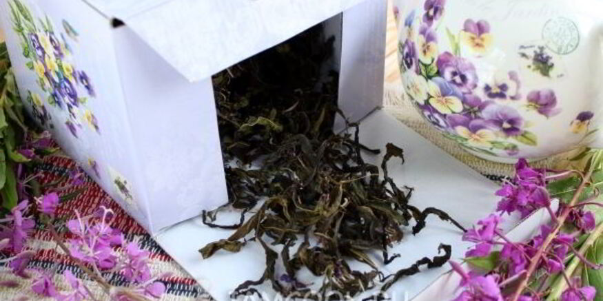 Рецепт ивана чая ферментированного крупнолистового