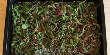 иван чай ферментированный крупнолистовой