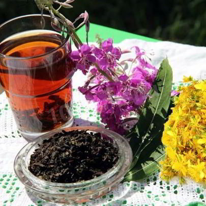 Иван чай зверобой