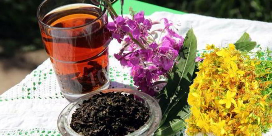 Рецепт ивана чая зверобоя