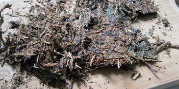 калмыкский чай