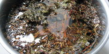 калмыкский чай