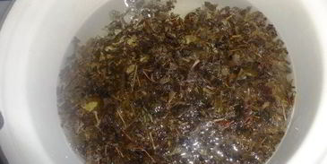 холодный зеленый чай с ромашкой и мелиссой