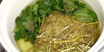 холодный зеленый чай с ромашкой и мелиссой