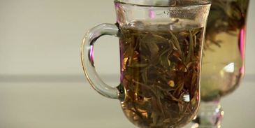 китайский белый чай бай мудань