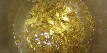 ромашковый чай с цитрусовыми