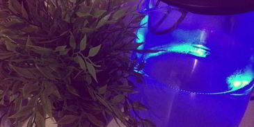 согревающий чай пряная осень