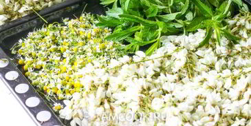 цветочный чай с ромашкой, акацией и мятой