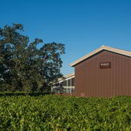 Рецепт Домашнего вина из алычи