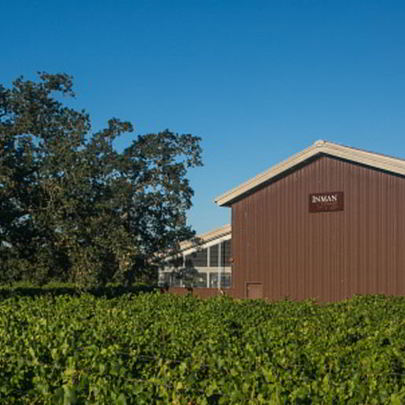 Домашнее вино из алычи