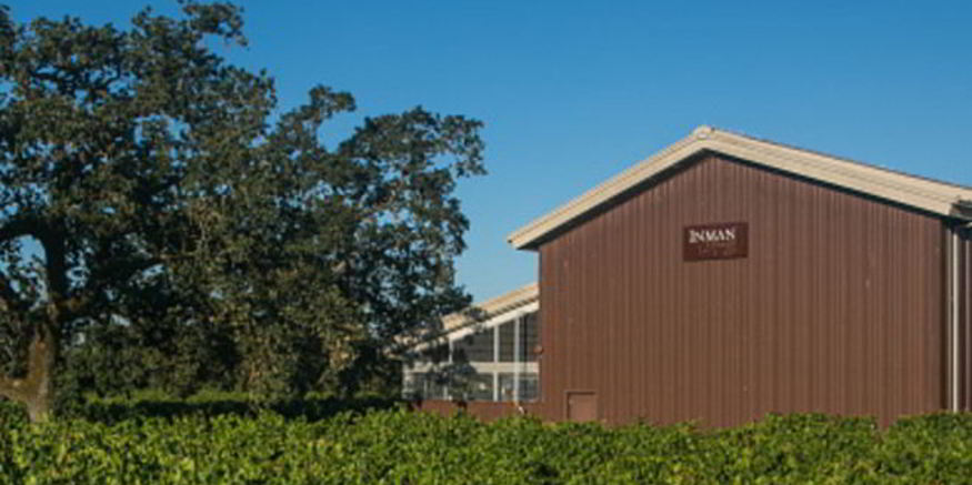 Рецепт домашнего вина из алычи