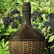 Рецепт Домашнего вина из бузины