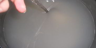 кисель из ревеня