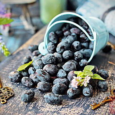 Кисель из жимолости