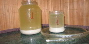 овсяный кисель изотова