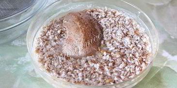 овсяный кисель