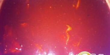 свиные ребра в кофейном соусе