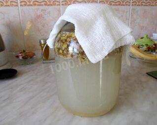 Квас из березового сока с сухофруктами