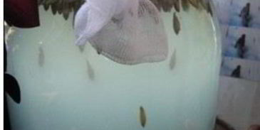 квас из овса