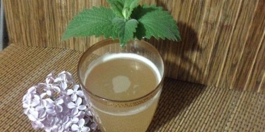 Рецепт кваса из ревеня