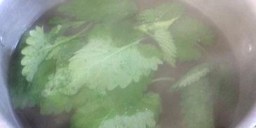 квас из ревеня