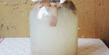 квас хлебный