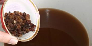 квас за 2 часа