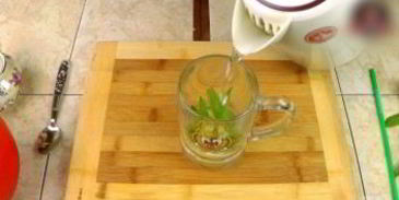 домашний лимонад с мятой