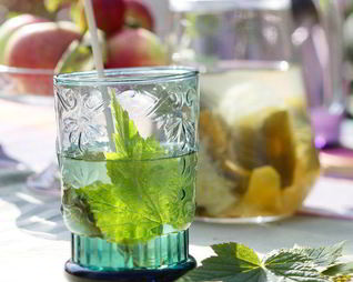 Лимонад с листьями смородины и мяты