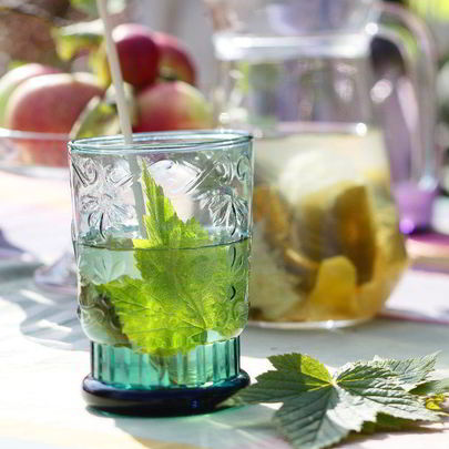 Лимонад с листьями смородины и мяты