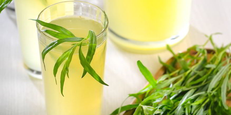 Рецепт лимонада с тархуном