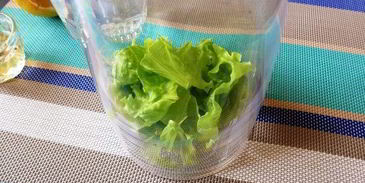 лимонад свежесть из листьев салата