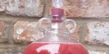 малиновое вино