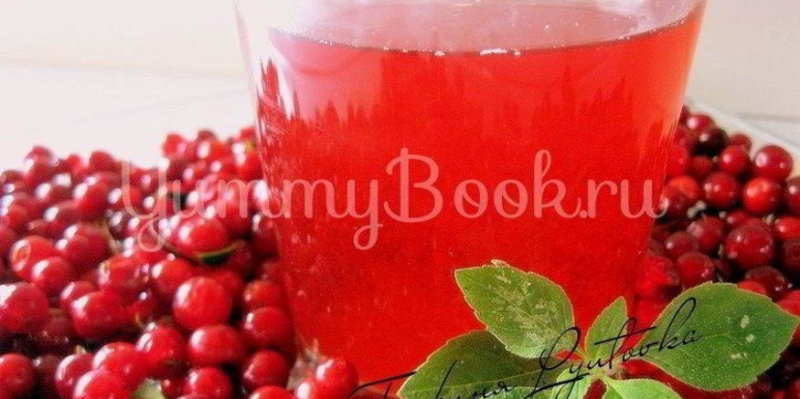 Рецепт брусничного морса