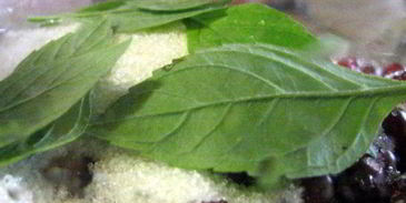 брусничный морс