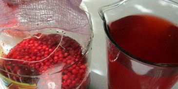 брусничный морс