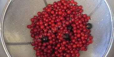 морс из смородины