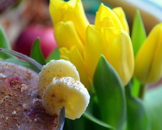 Смузи с бананом и малиной