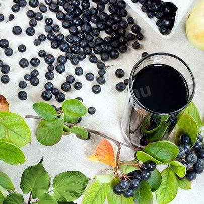 Вино из аронии