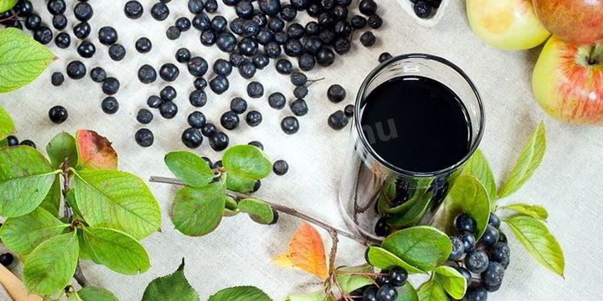 Рецепт вина из аронии