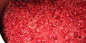 вино из вишни без дрожжей