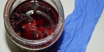 вино из забродившего варенья