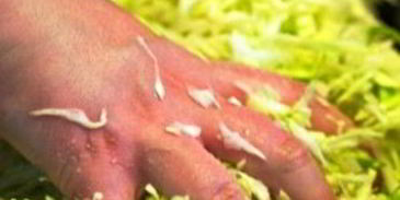 капустный салат с морковью