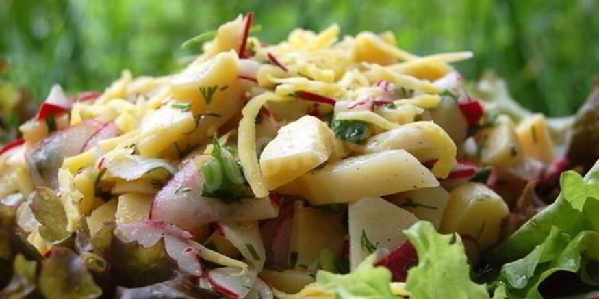 Рецепт картофельного салата с редиской и зеленью